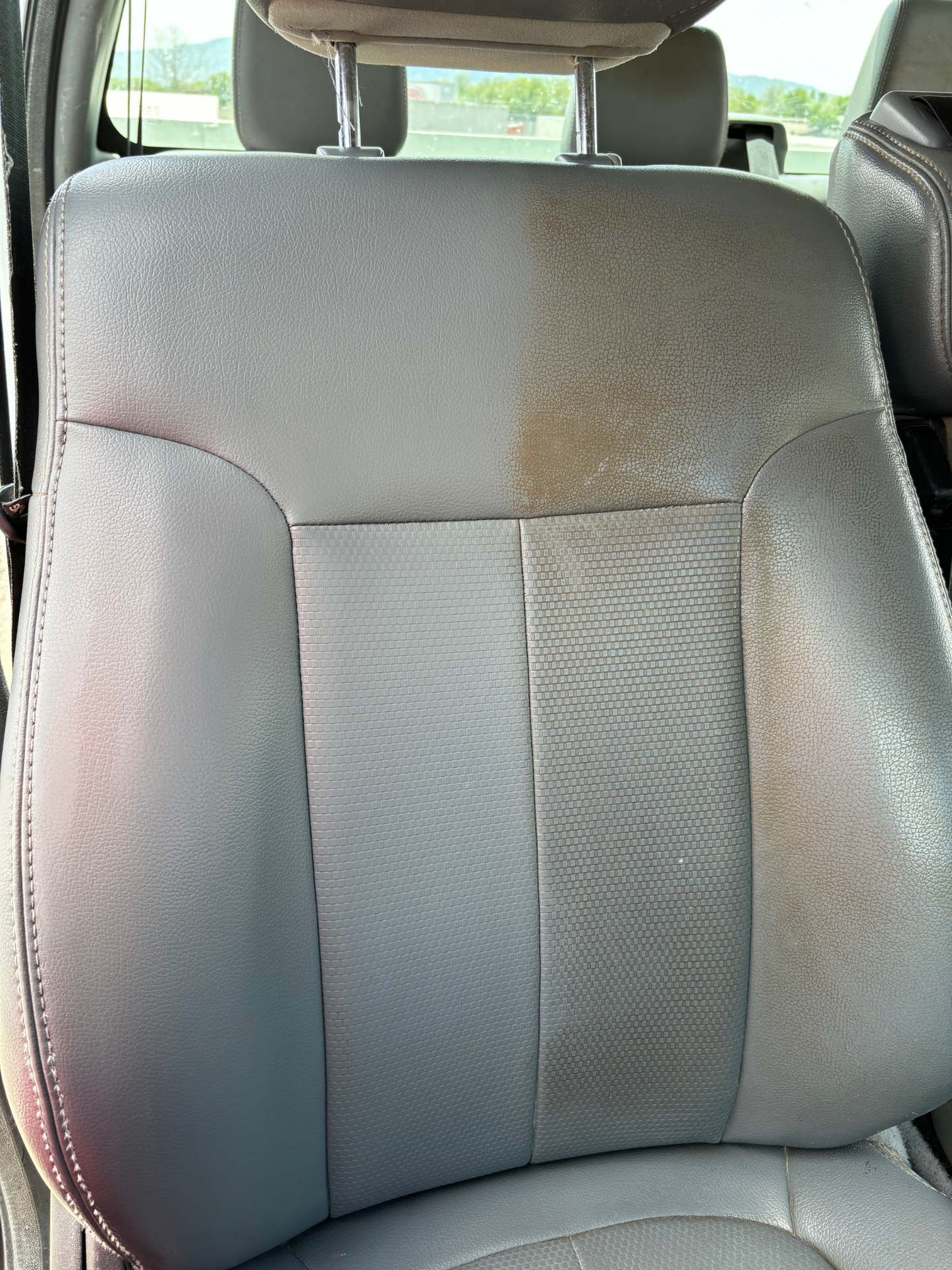 Full Interior